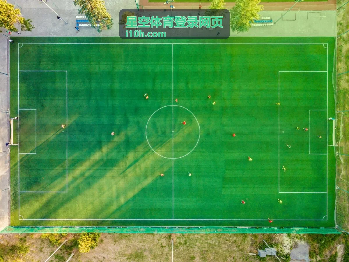 星空体育登录网页首页登录入口指引总览封面