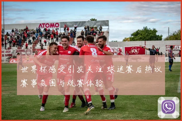 世界杯感受引发关注 球迷赛后热议赛事氛围与观赛体验