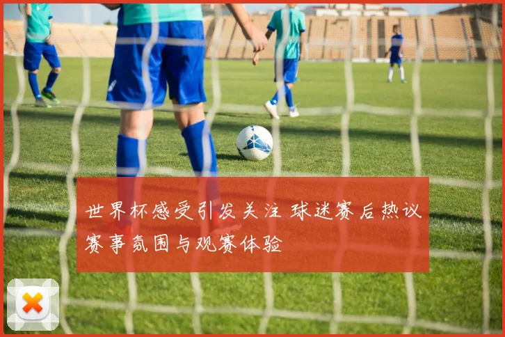 世界杯感受引发关注 球迷赛后热议赛事氛围与观赛体验