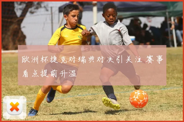 欧洲杯捷克对瑞典对决引关注 赛事看点提前升温